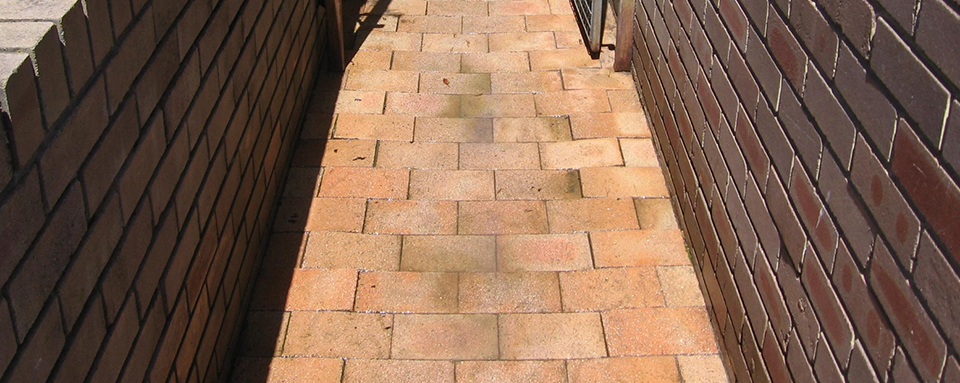 Garden Paths - After